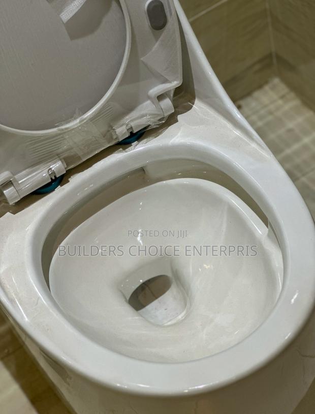 Modern Jet Flushing _Water Closet · Photo 3
