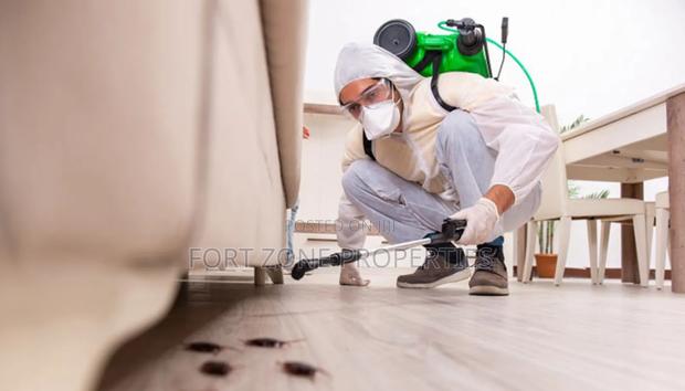 Settle All Your Pest Control and Fumigation With Cleantex · Photo 1