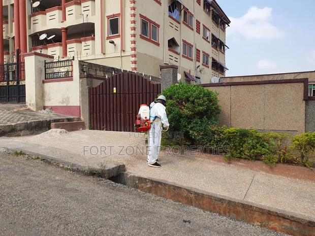 All Insects and Disinfectant Services in Ghana · Photo 3