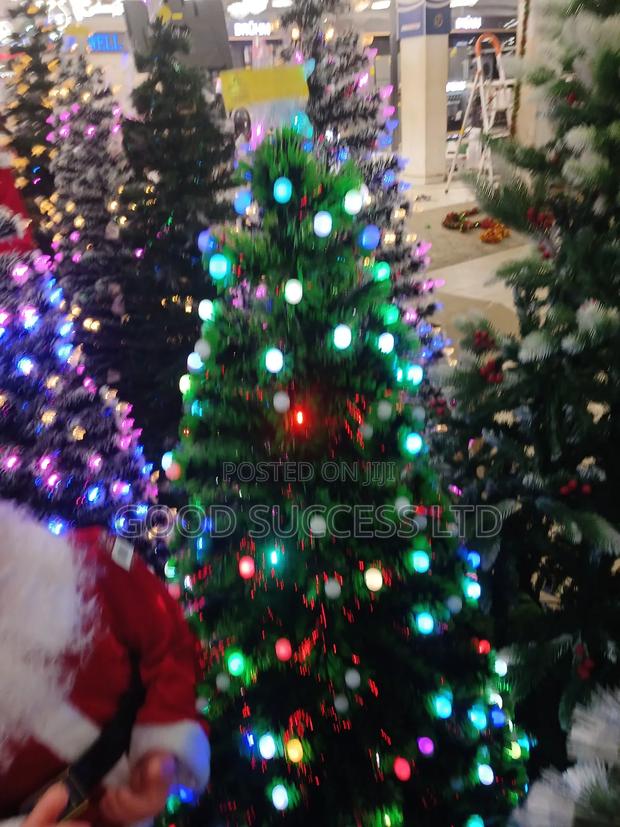 Chrismas Tree · Photo 2
