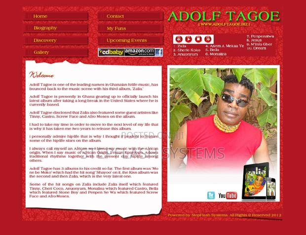 Professional Website Design Development · Photo 5