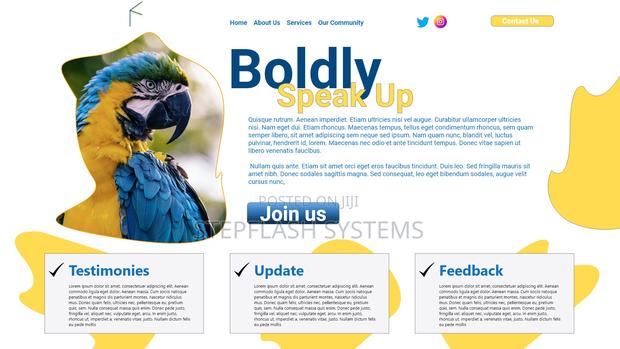 Professional Website Design Development · Photo 6