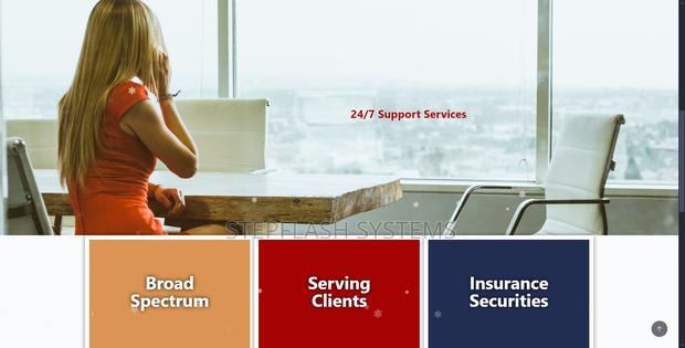 Professional Website Design Development · Photo 1
