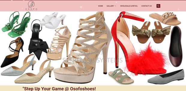 Professional Website Design Development · Photo 3