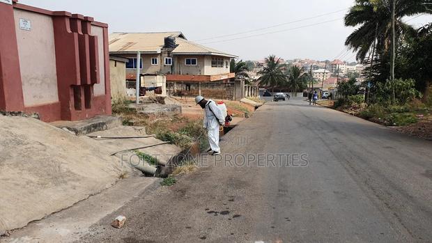 Clean Now Fumigation Services. · Photo 1
