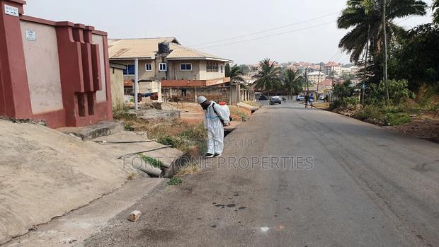 Clean Now Fumigation Services. · Photo 2