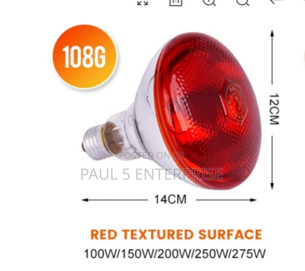 Wholesale and Retail Heater Infared Brooder Bulbs High Quality · Photo 1