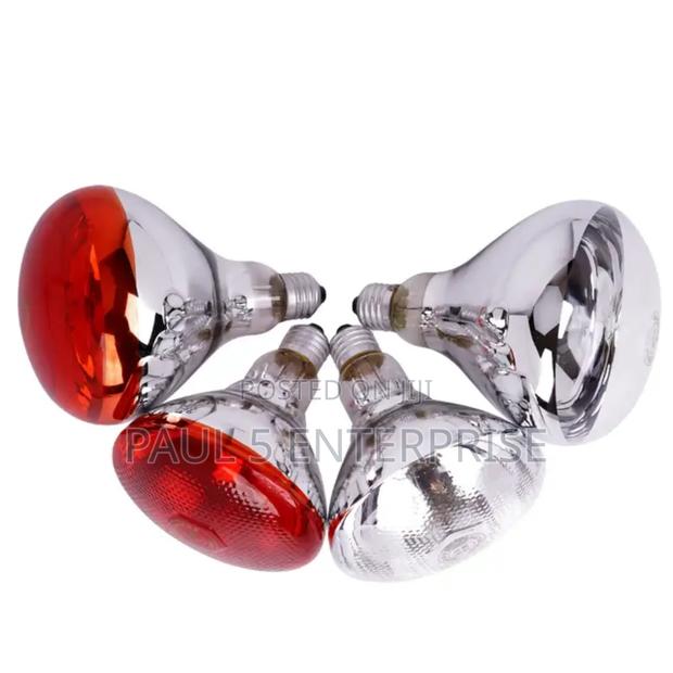 Wholesale and Retail Heater Infared Brooder Bulbs High Quality · Photo 3