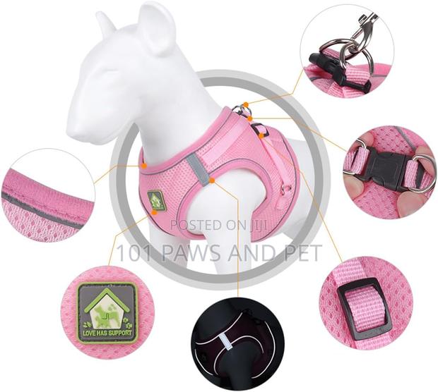 Dog Harness · Photo 1
