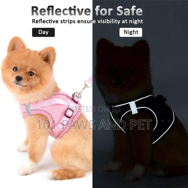 Dog Harness · Photo 2