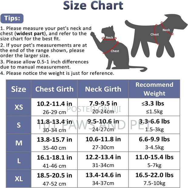 Dog Harness · Photo 3