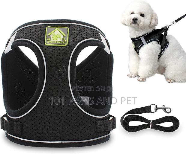 Dog Harness · Photo 4