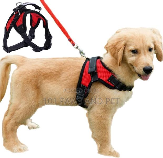 Dog Harness Medium · Photo 2