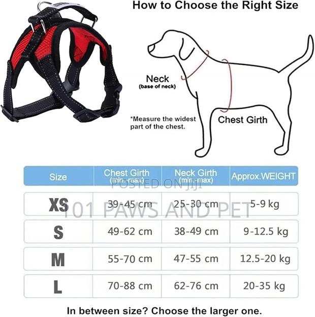 Dog Harness Medium · Photo 3