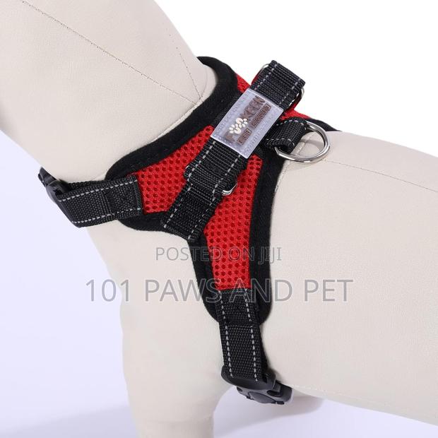 Dog Harness Medium · Photo 4