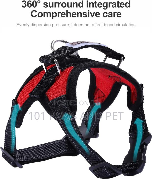 Dog Harness Medium · Photo 6