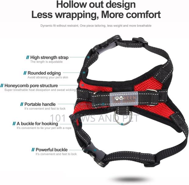 Dog Harness Medium · Photo 7