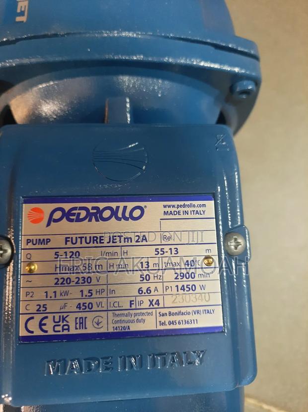 Pedrollo 1.5HP Cast · Photo 3