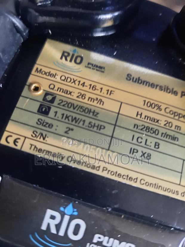 Rio Submersible Pump · Photo 3