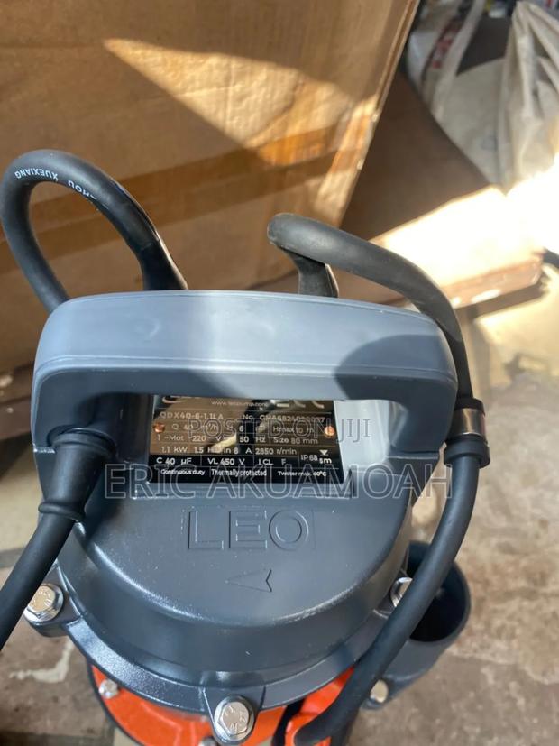 Leo QDX 1.5hp 3" Outlet · Photo 4