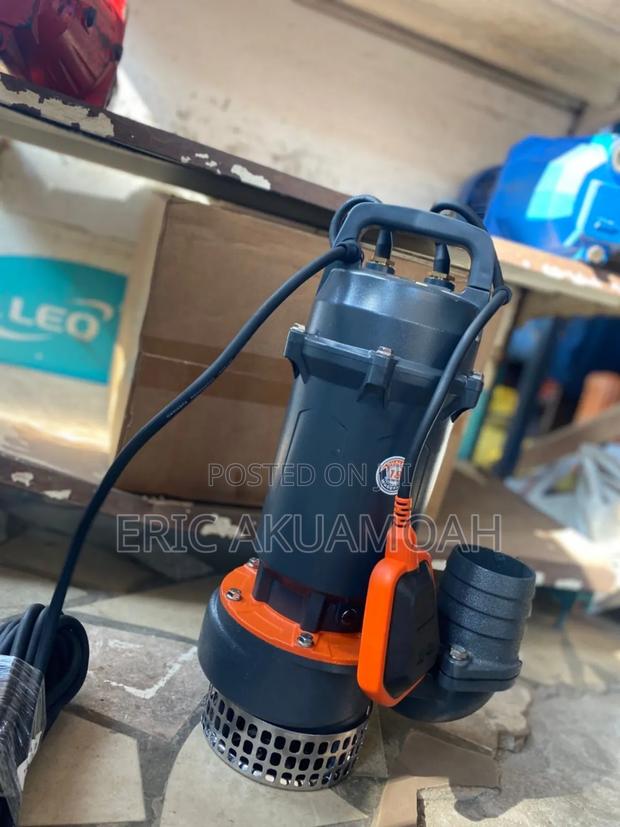 Leo QDX 1.5hp 3" Outlet · Photo 5