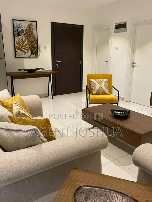 Furnished 2bdrm Apartment in Diamond City, Cantonments for rent · Photo 3
