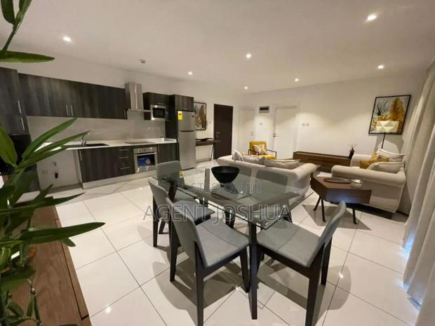 Furnished 2bdrm Apartment in Diamond City, Cantonments for rent · Photo 5