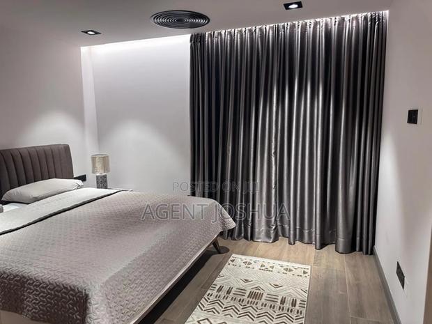 Furnished 1bdrm Apartment in Diamond City, Cantonments for rent · Photo 3