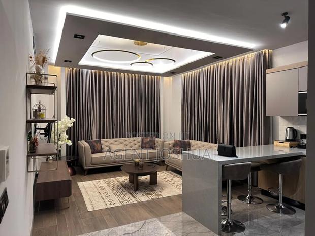Furnished 1bdrm Apartment in Diamond City, Cantonments for rent · Photo 5