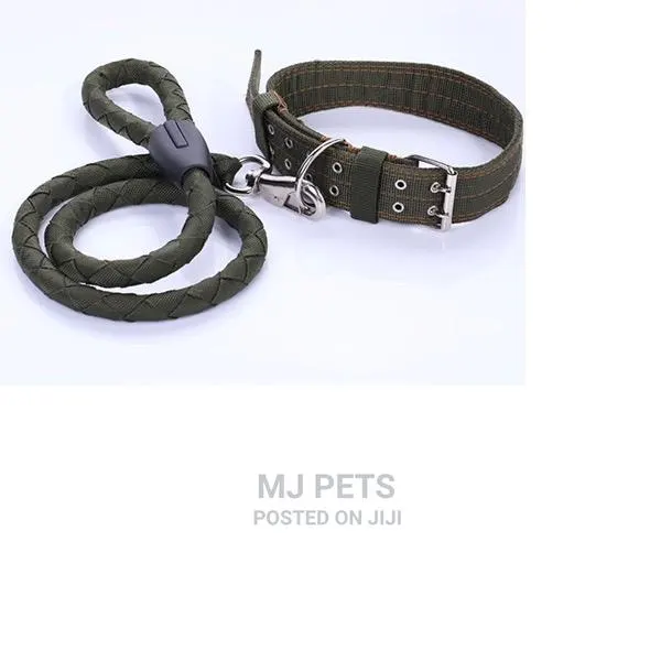 Round Leash Harness for Big Dogs · Photo 1