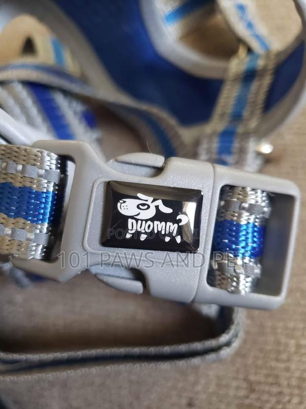 Duomm Dog Harness · Photo 1