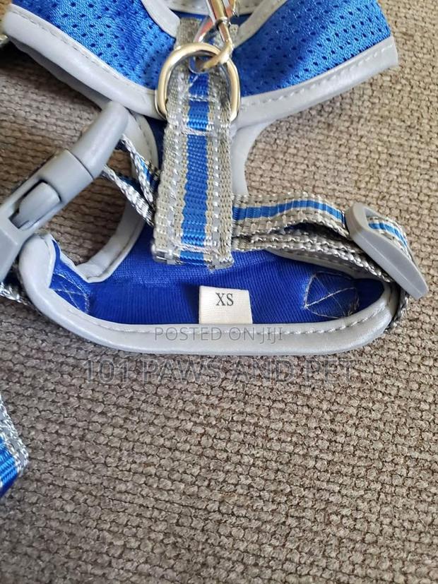 Duomm Dog Harness · Photo 2