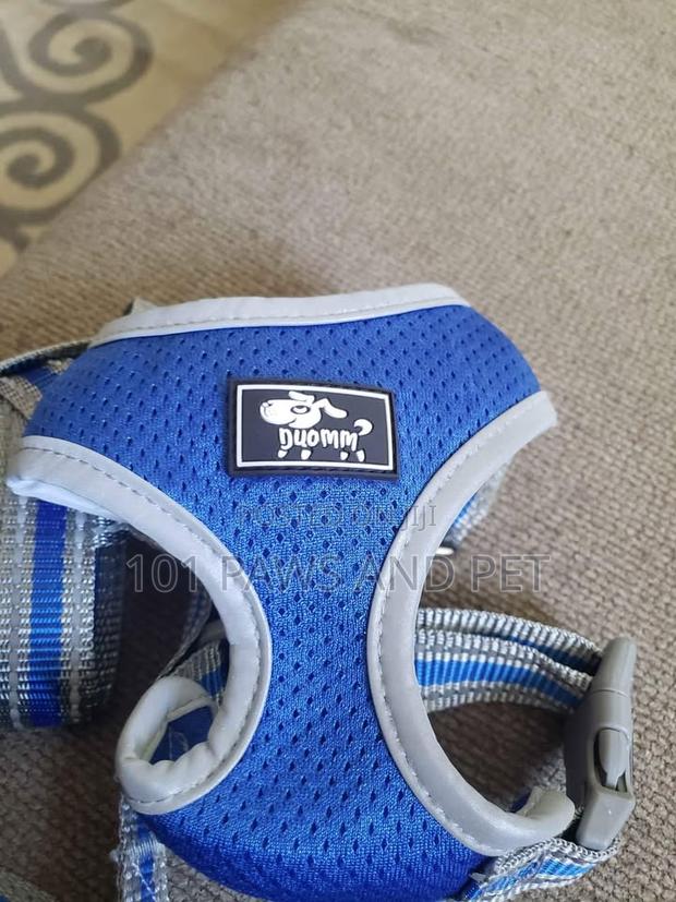 Duomm Dog Harness · Photo 3
