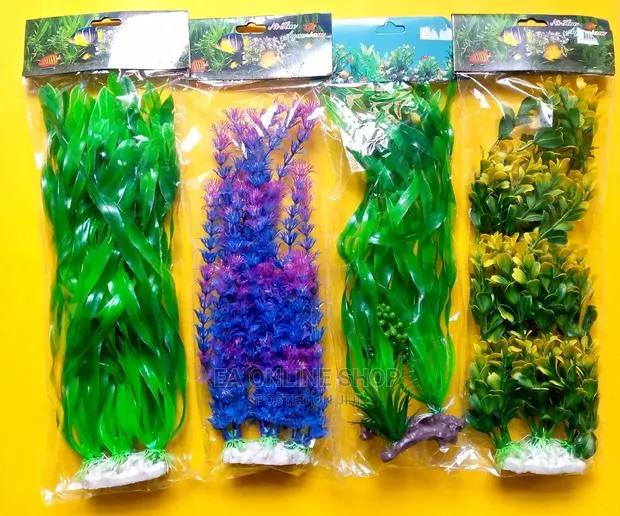 Aquarium Plants · Photo 1