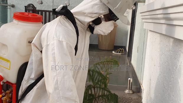All Pest and Insects Solution · Photo 2