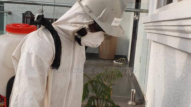 All Pest and Insects Solution · Photo 3