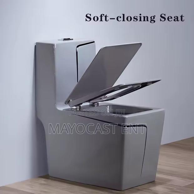 Luxury WC (Water Closet) · Photo 1