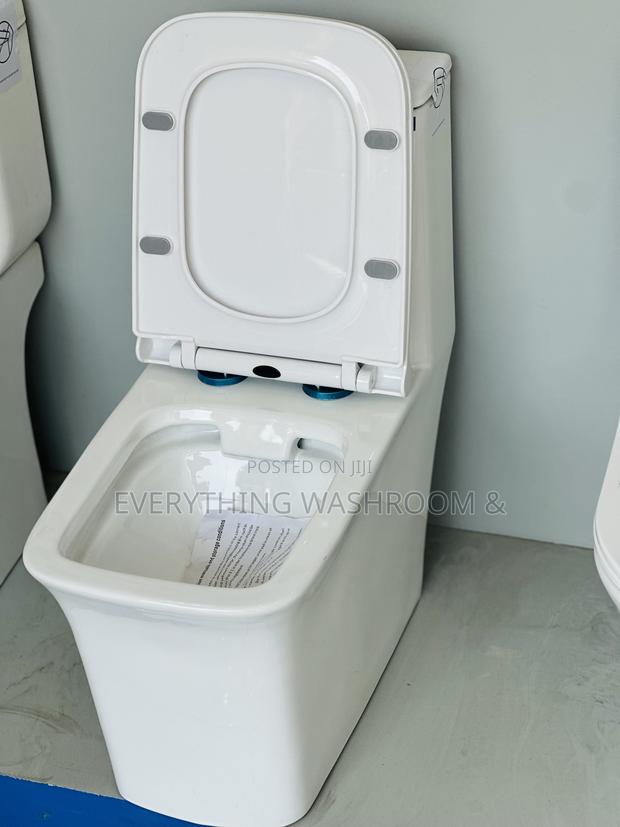 Frencia One Piece Wc_executive One Piece Water Closet · Photo 2