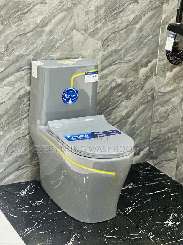 Grey Wc and Basin Set With Tap and Accessories · Photo 6