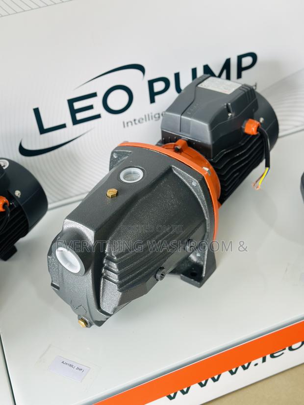 Leo Water Pump 2hp Cast · Photo 1