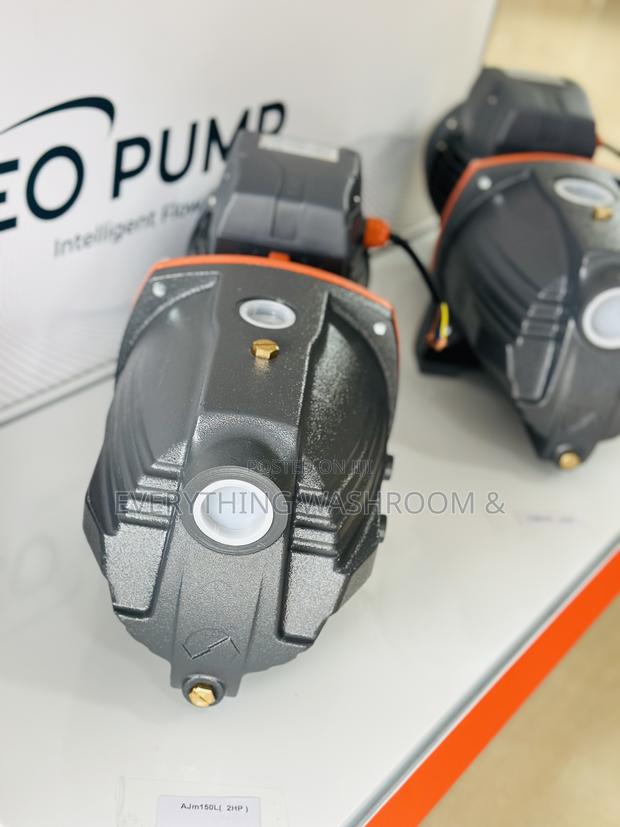 Leo Water Pump 2hp Cast · Photo 3