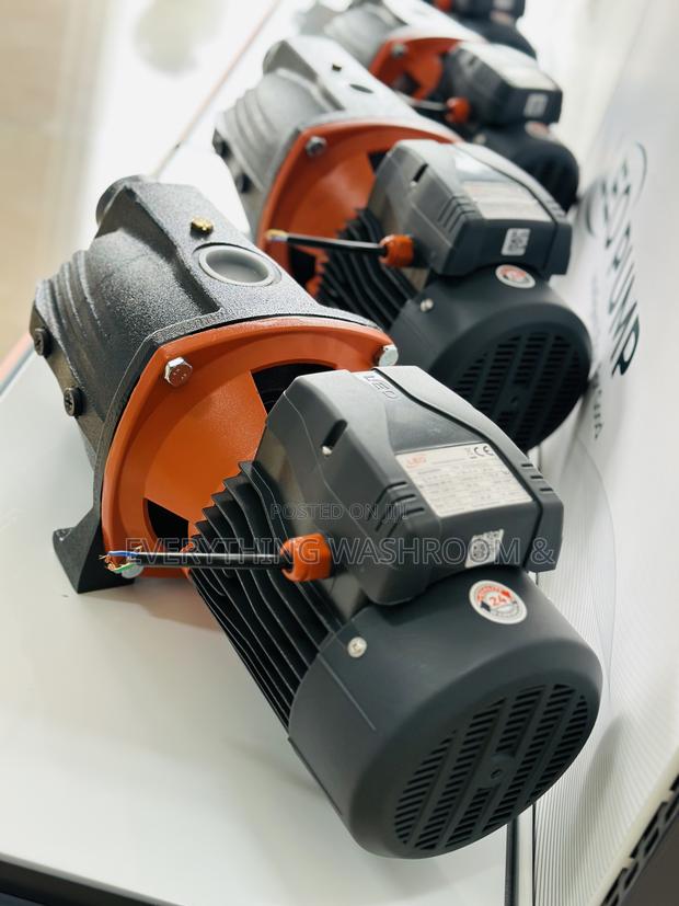 Leo Water Pump 3hp Cast · Photo 2