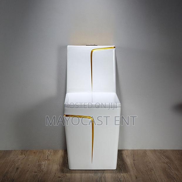 Luxury Toilet Seat ~ Water Closet · Photo 3