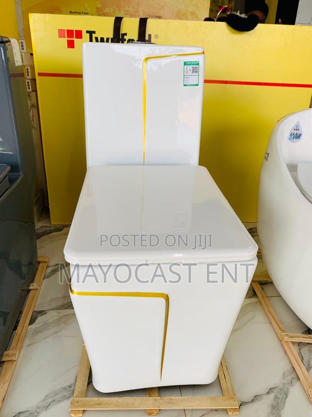 Luxury Toilet Seat ~ Water Closet · Photo 4