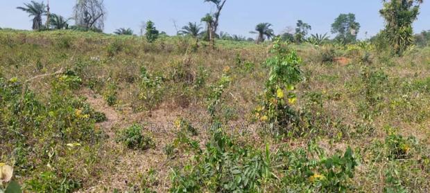 Plot of Land With Gurnue Documents for Sale