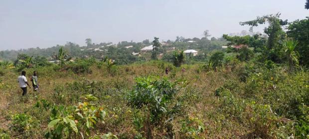 Plot of Land With Gurnue Documents for Sale · Photo 2