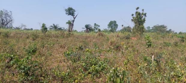 Plot of Land With Gurnue Documents for Sale · Photo 3