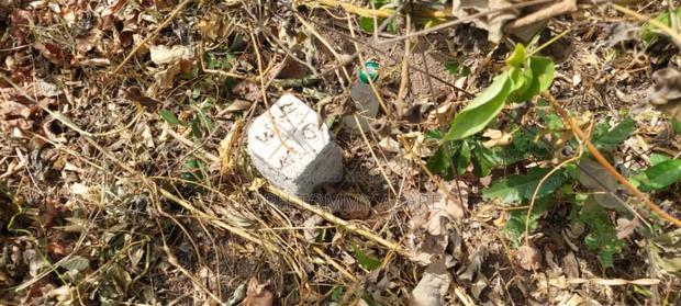 Plot of Land With Gurnue Documents for Sale · Photo 4