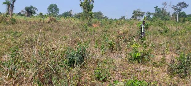 Plot of Land With Gurnue Documents for Sale · Photo 5