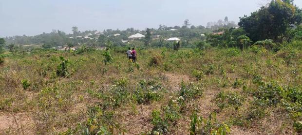 Plot of Land With Gurnue Documents for Sale · Photo 6